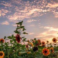 重庆市城口县精神卫生中心来访